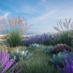 Comment préparer son jardin pour affronter la sécheresse estivale ?
