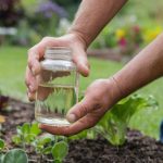 Comment savoir si la terre de votre jardin est trop acide avant l’hiver ? Le test facile et rapide avec du vinaigre blanc