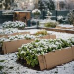Mon voisin se moque en me voyant mettre des cartons sur mon potager, mais il ne rira pas au printemps