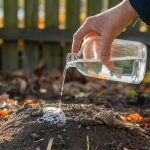 Comment savoir si votre terre est trop acide avant l’hiver ? Le test facile et rapide avec du vinaigre blanc