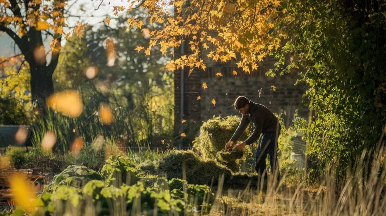 Le « purin d&rsquo;orties » d&rsquo;automne : le traitement simple qui renforce vos plantes avant les rigueurs de l&rsquo;hiver