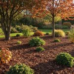 Mon paillage d'automne à 0€ que tous mes voisins me copient désormais pour un jardin sans entretien