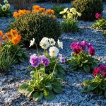 Cette astuce gratuite avec de la cendre nourrit vos massifs fleuris tout l’hiver