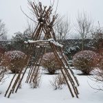 Cette technique naturelle avec des branches sèches protège vos arbustes contre la neige lourde